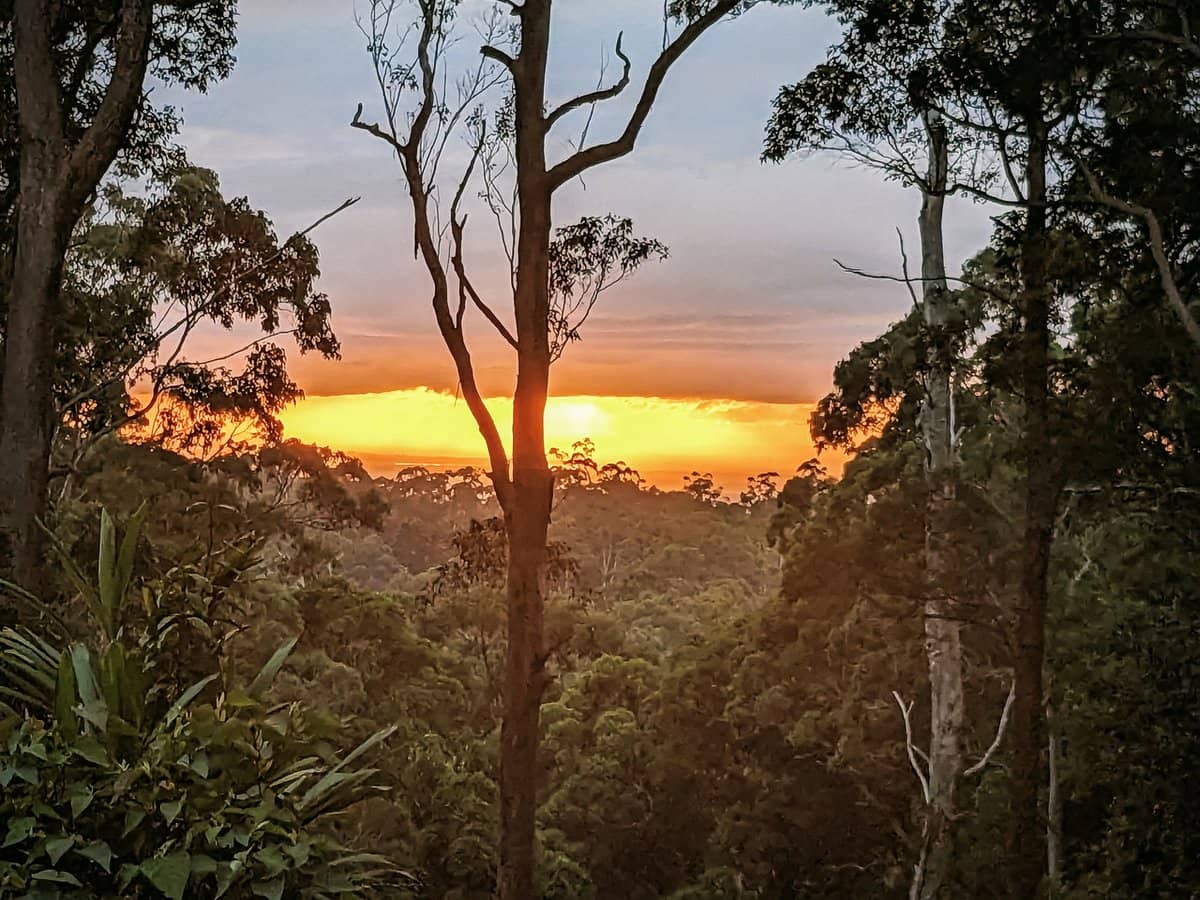 187 Forestry Road, Mount Nebo - Thumbnail 30