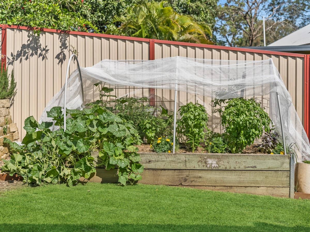 27 Mimosa Street, MITCHELTON - Thumbnail 28