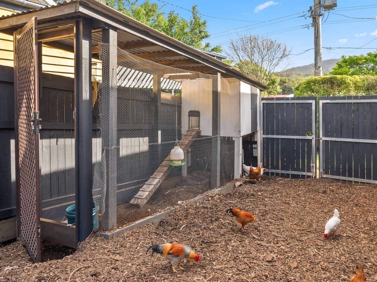 27 Mimosa Street, MITCHELTON - Thumbnail 29