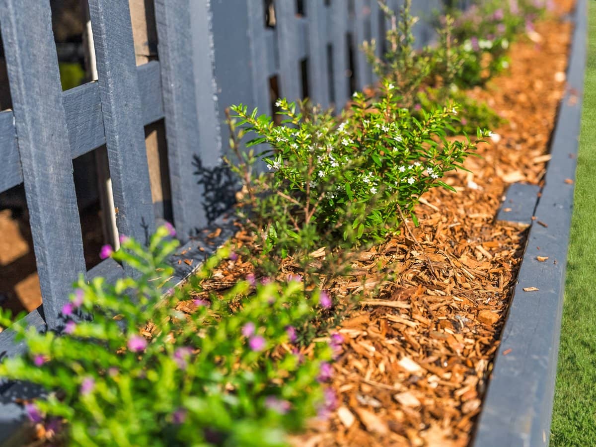 27 Mimosa Street, MITCHELTON - Thumbnail 31