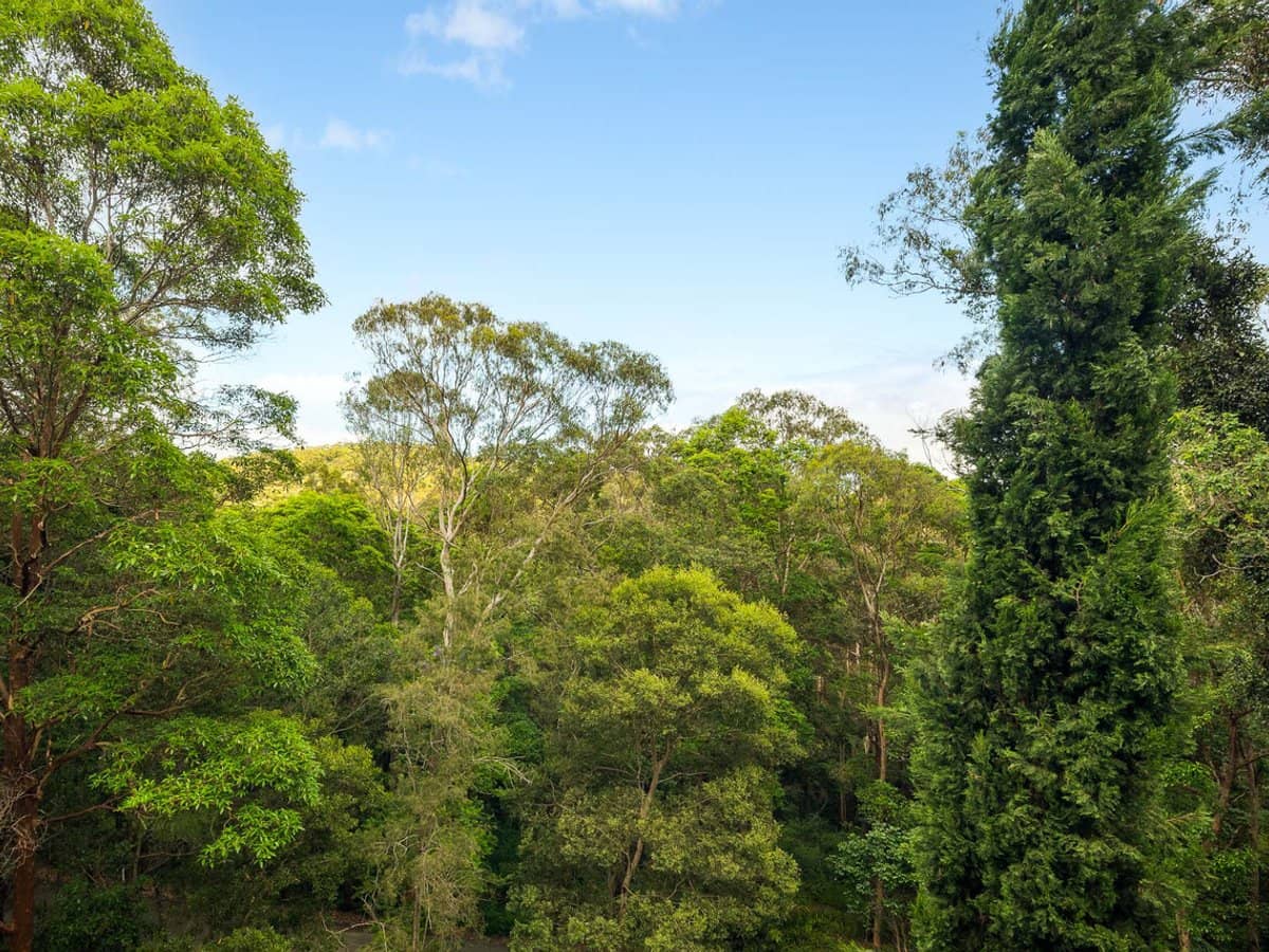 29 Bateson Road, Mount Nebo - Thumbnail 14