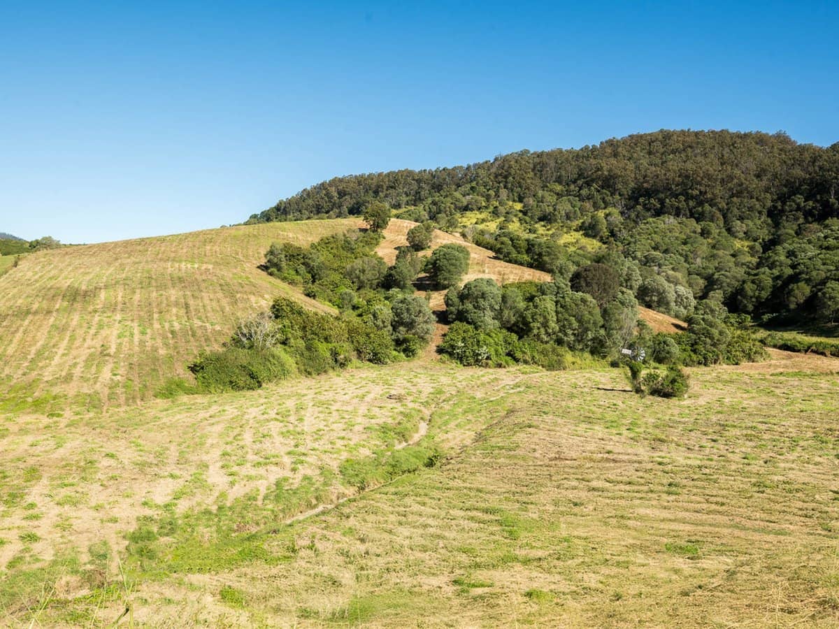 840 Laceys Creek Road, Laceys Creek - Thumbnail 1