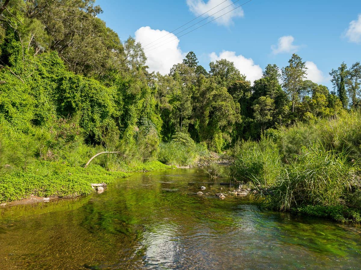 840 Laceys Creek Road, Laceys Creek - Thumbnail 12