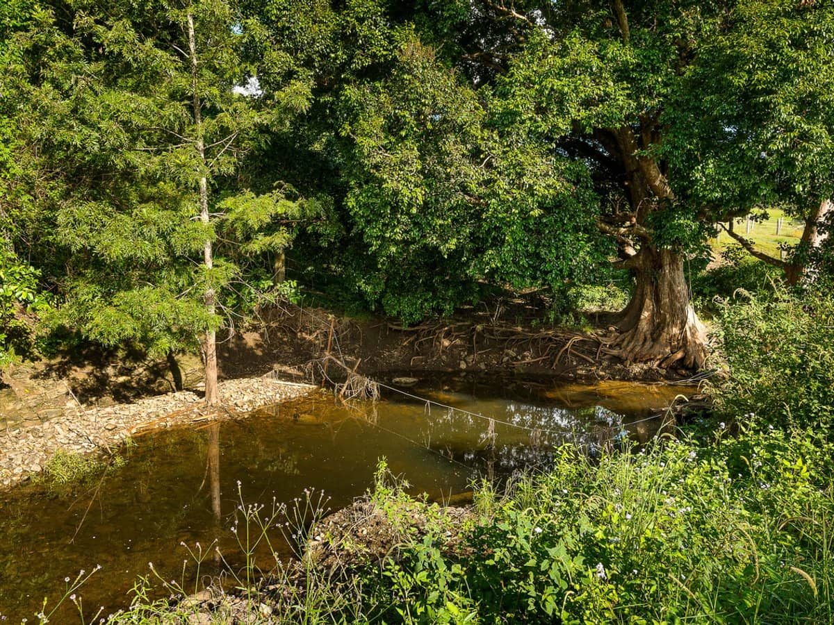 840 Laceys Creek Road, Laceys Creek - Thumbnail 17