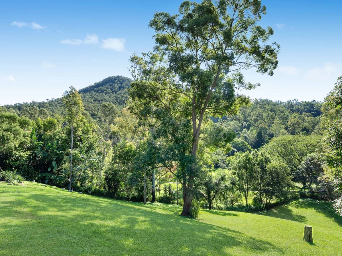 50 Reiners Road, Highvale - Thumbnail 8