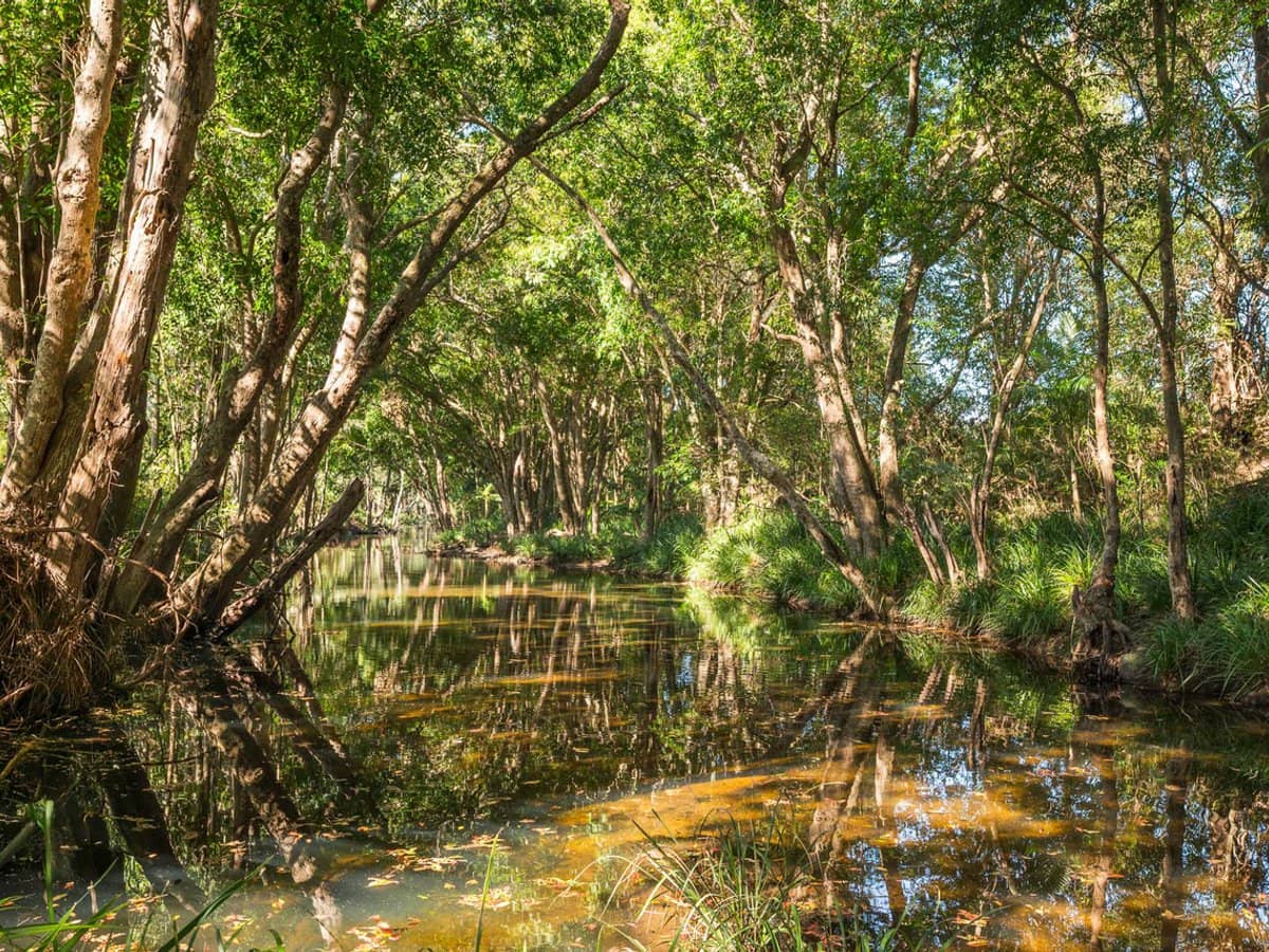 Lot 12, 67 Herron Road, Closeburn - Thumbnail 5