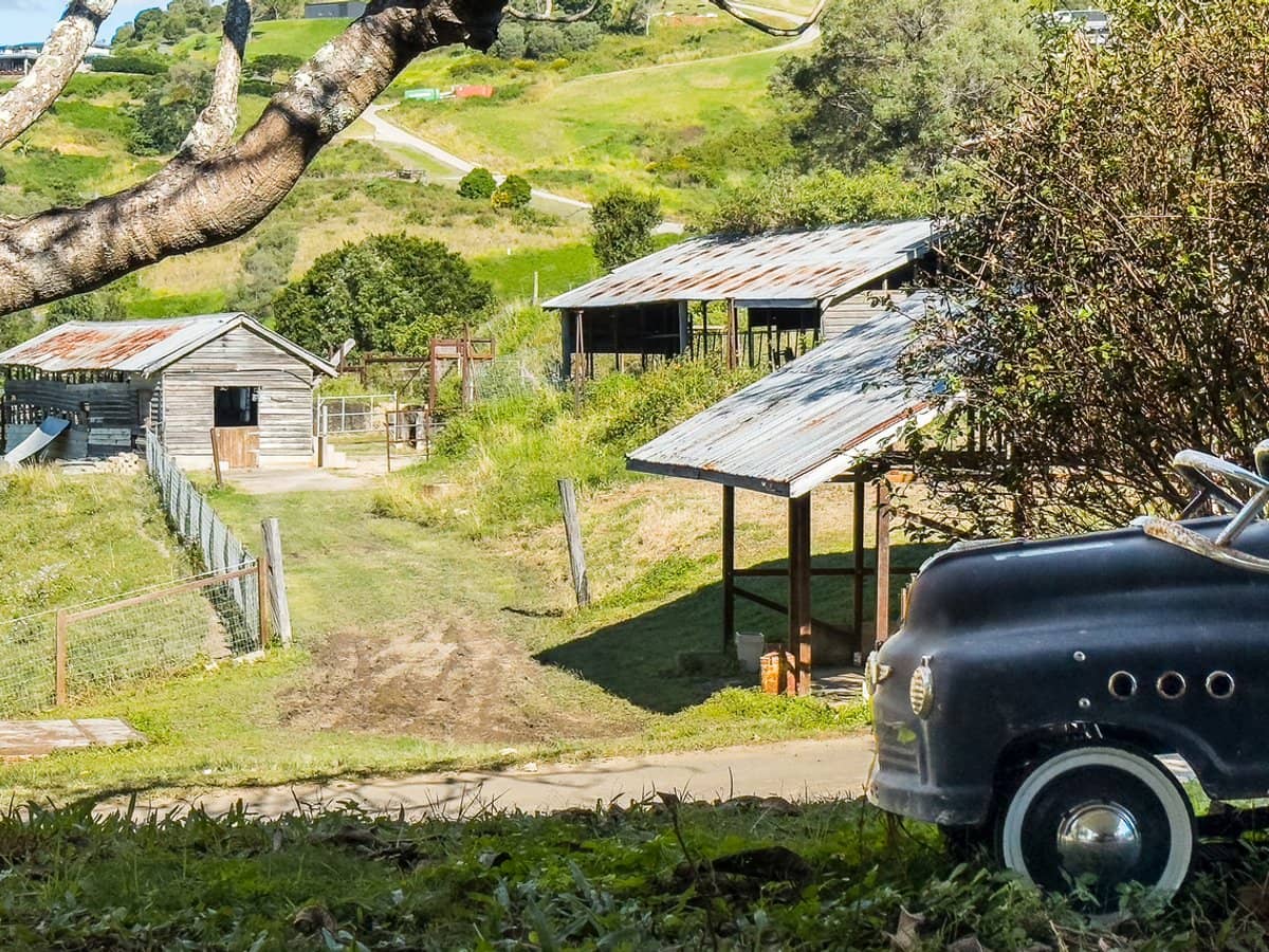 66 Morrison Road, Cedar Creek - Thumbnail 3