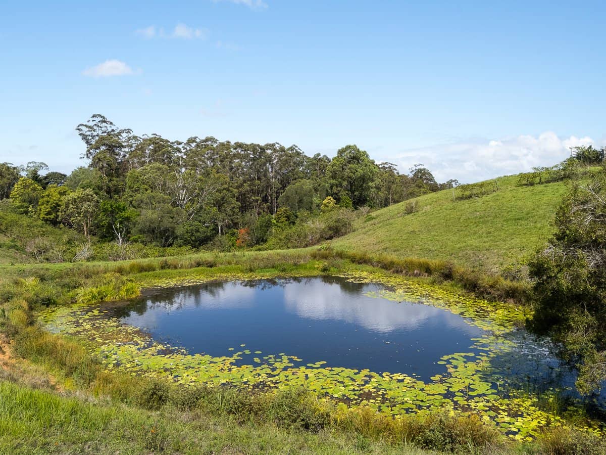 228 Robinson Road South, Ocean View - Thumbnail 8