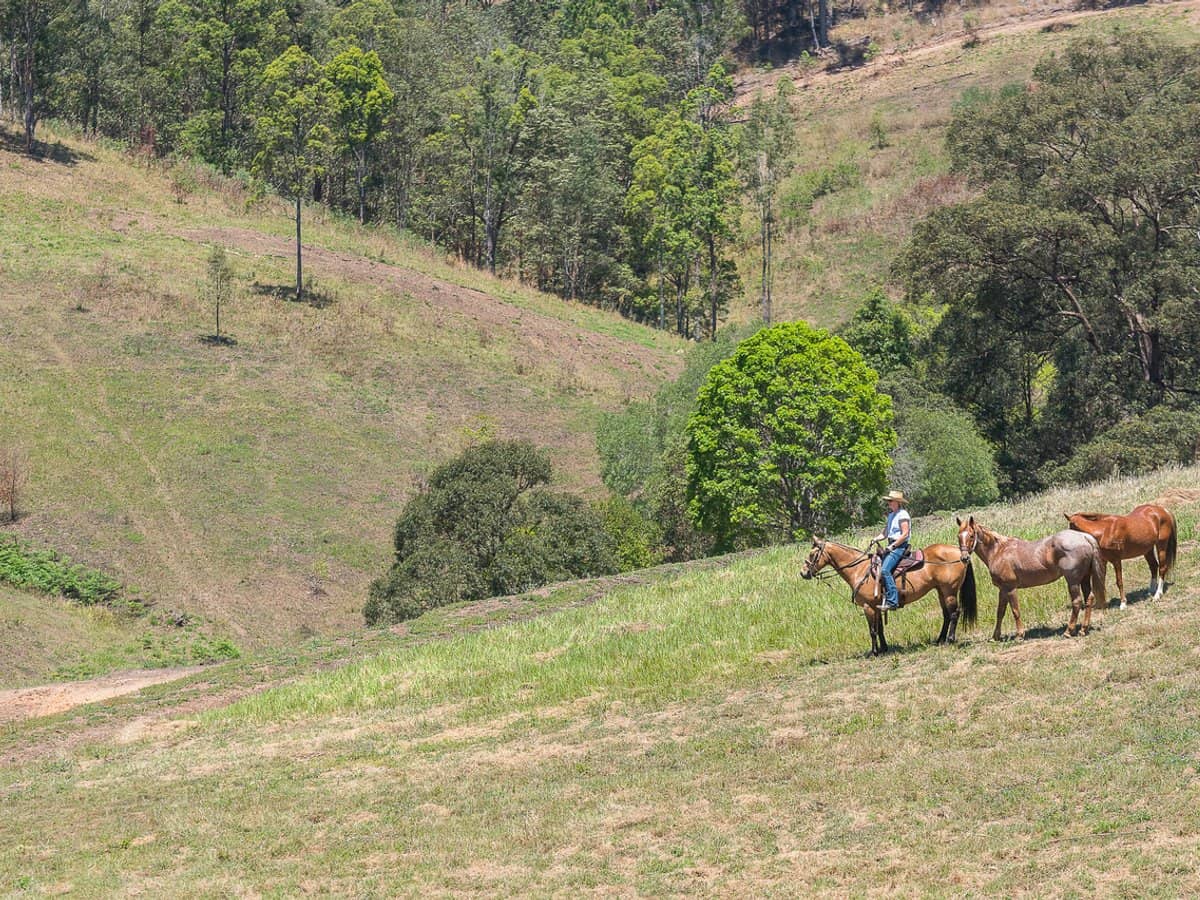 673 Laceys Creek Road, Laceys Creek - Thumbnail 5