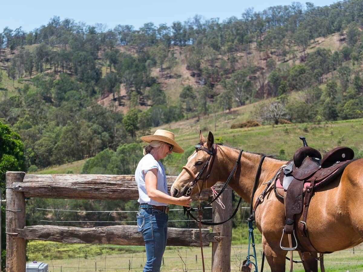 673 Laceys Creek Road, Laceys Creek - Thumbnail 19