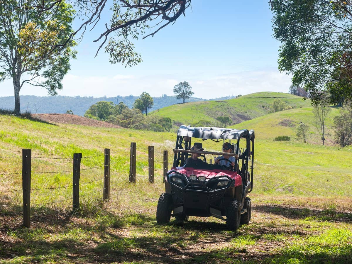 673 Laceys Creek Road, Laceys Creek - Thumbnail 22