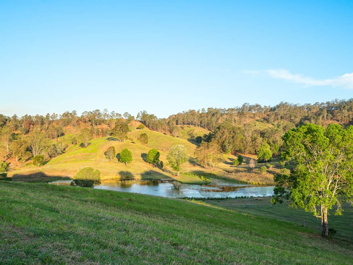 673 Laceys Creek Road, Laceys Creek - Thumbnail 31