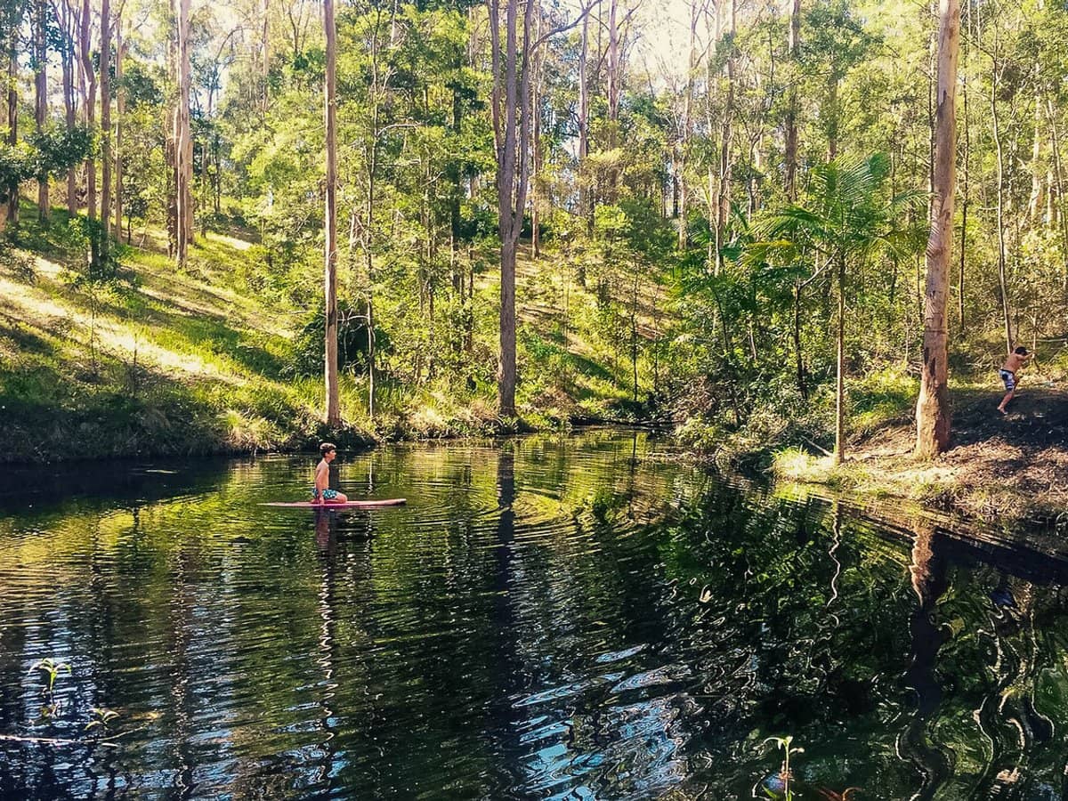 91 Forestry Road, Mount Nebo - Thumbnail 6