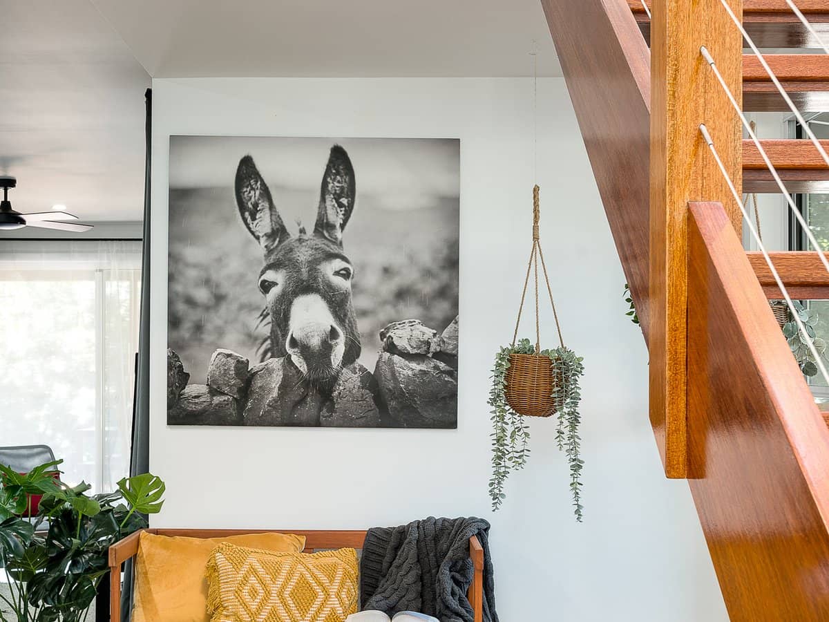 67 Roderick Street, Dayboro - Thumbnail 6