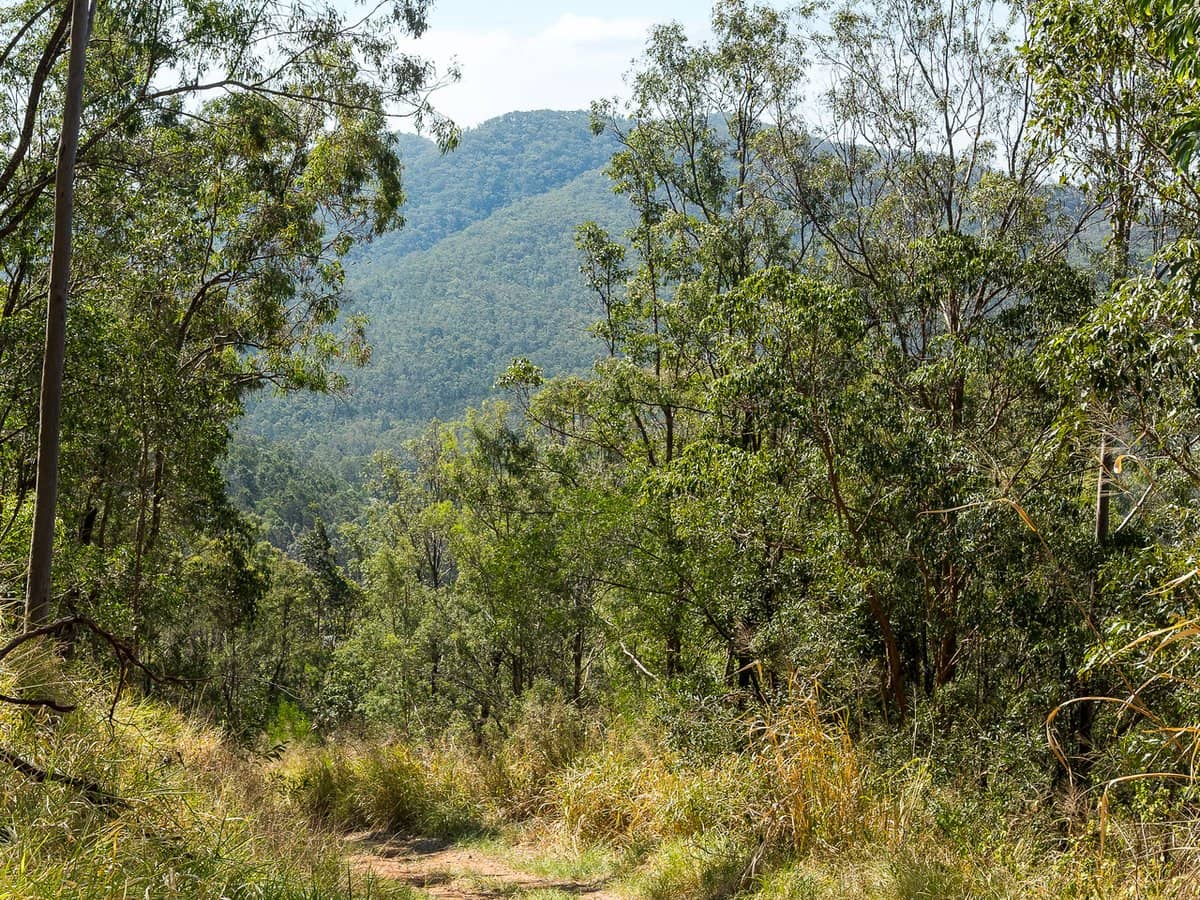 100 Hawkins Road, Kobble Creek - Thumbnail 9