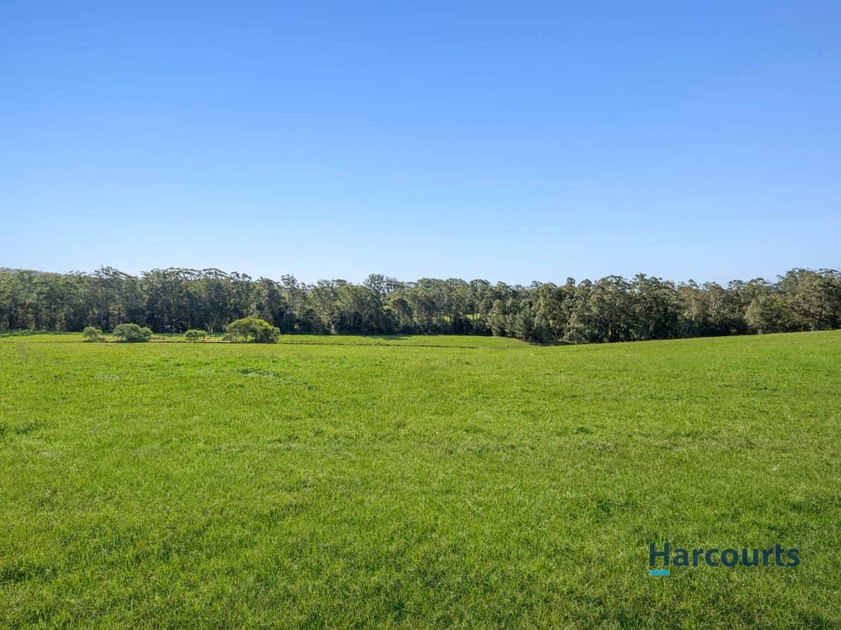 362 Pikes Road, BEERWAH - Thumbnail 19