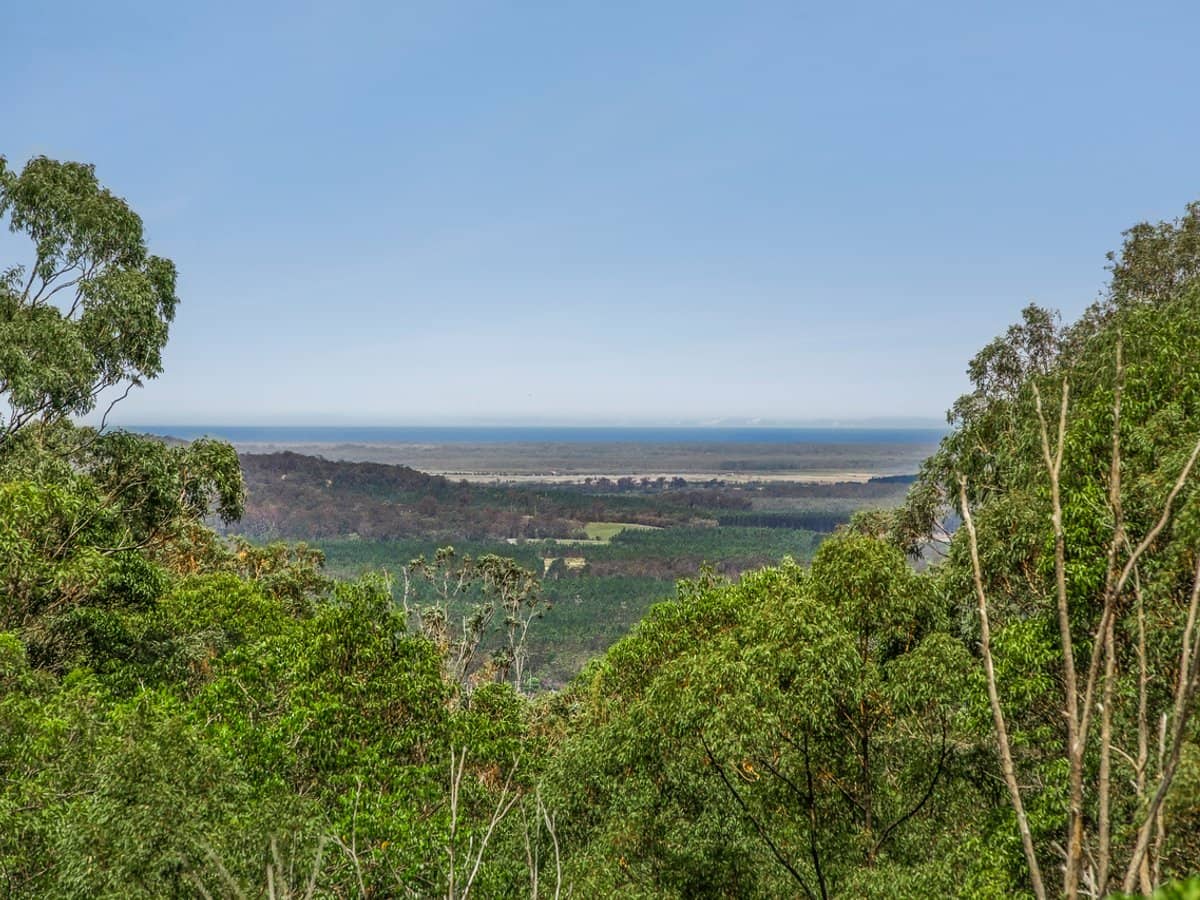 252 Landsborough-Maleny Road, LANDSBOROUGH - Thumbnail 2