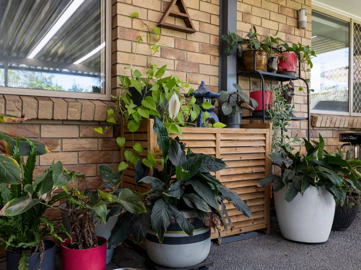 25 Samrill Street, BOONDALL - Thumbnail 18