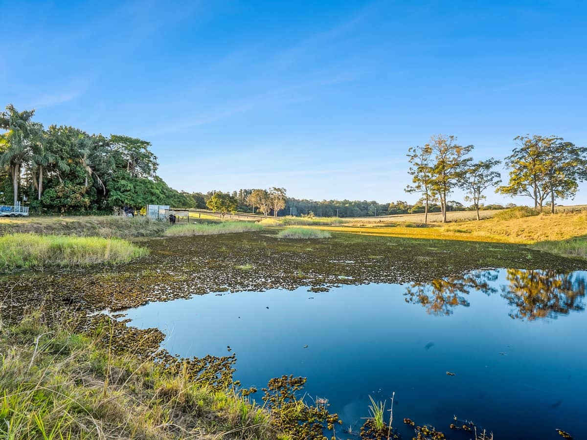 26 Crittenden Road, GLASS HOUSE MOUNTAINS - Thumbnail 8