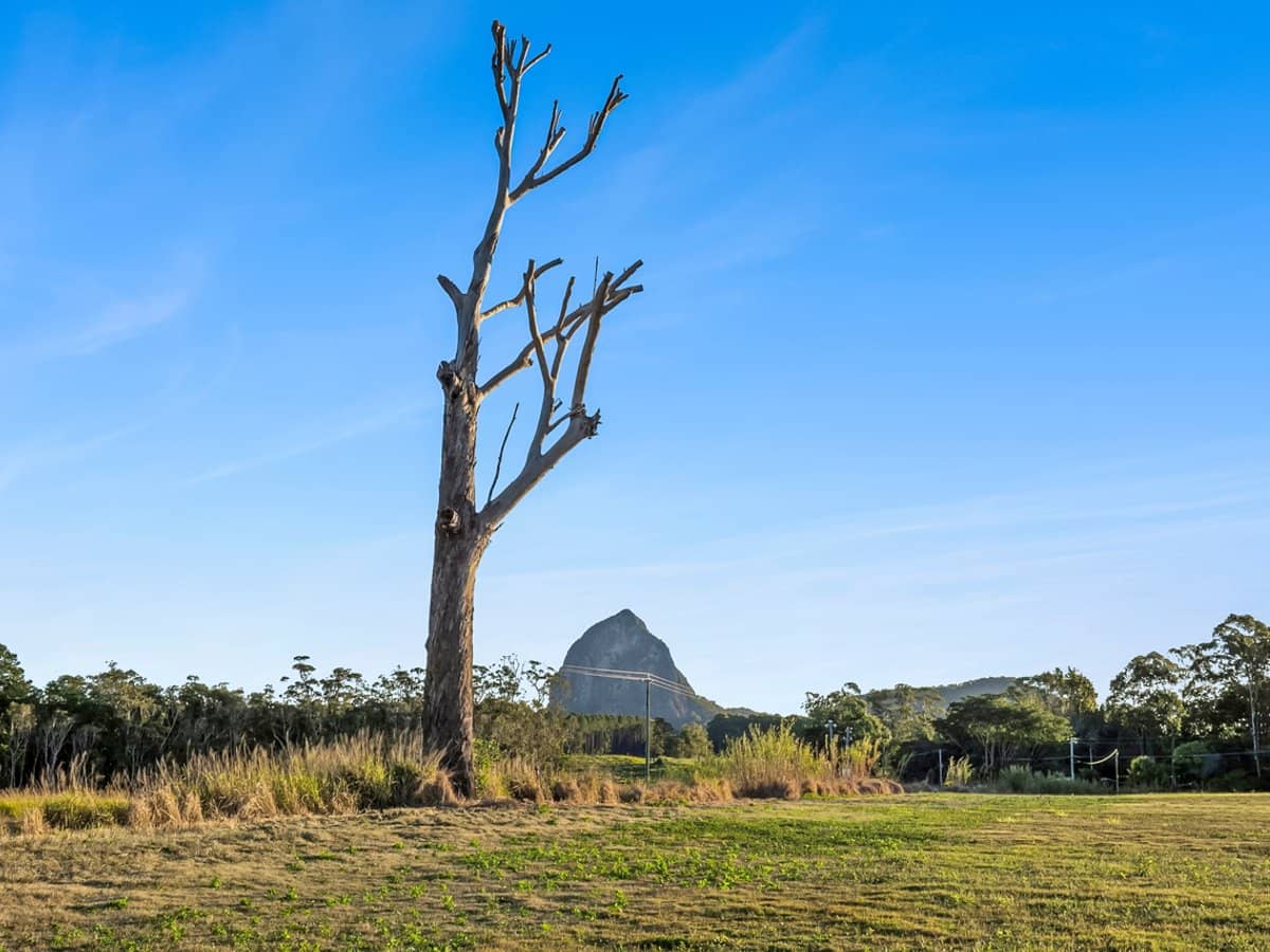 26 Crittenden Road, GLASS HOUSE MOUNTAINS - Thumbnail 10