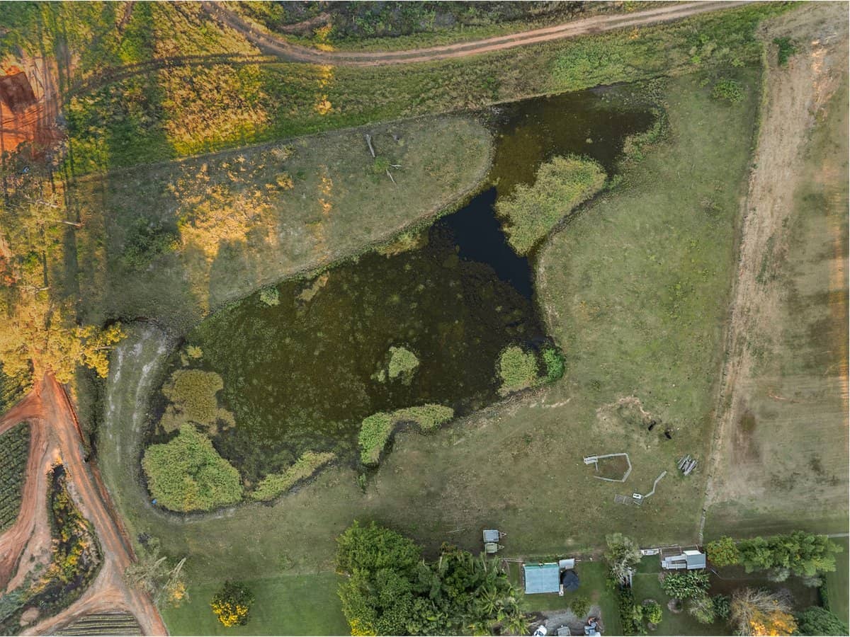 26 Crittenden Road, GLASS HOUSE MOUNTAINS - Thumbnail 16