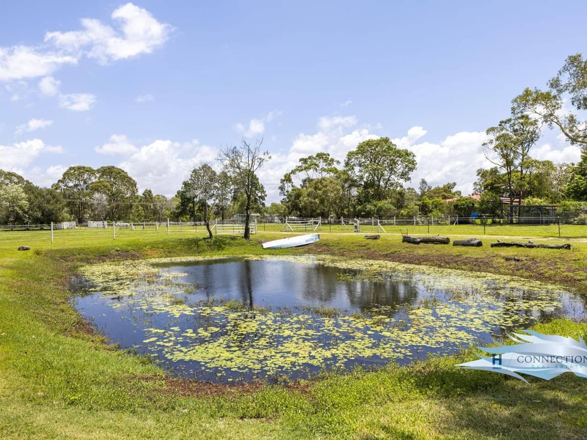 18 Murray Court, BEACHMERE - Thumbnail 11