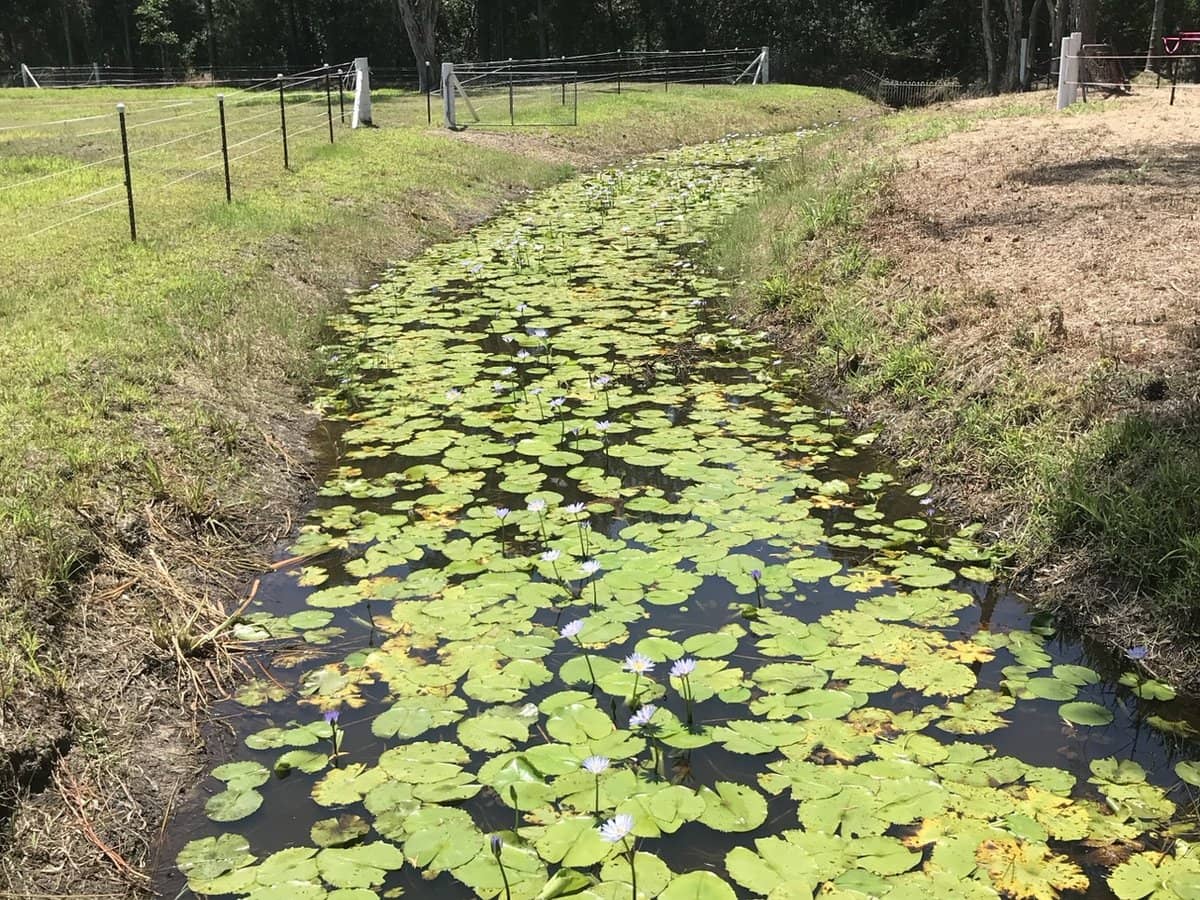 18 Murray Court, BEACHMERE - Thumbnail 35