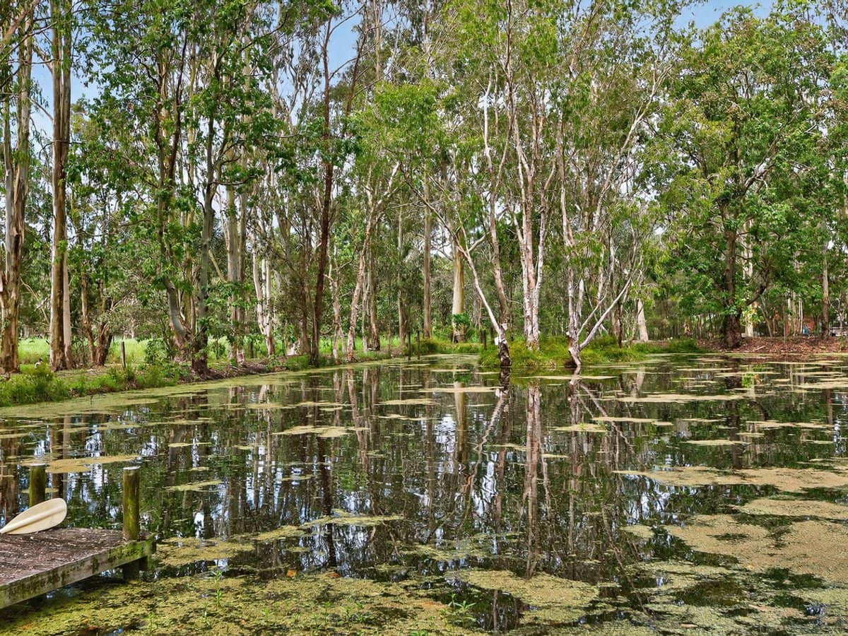 102 Hall Road, ELIMBAH - Thumbnail 22