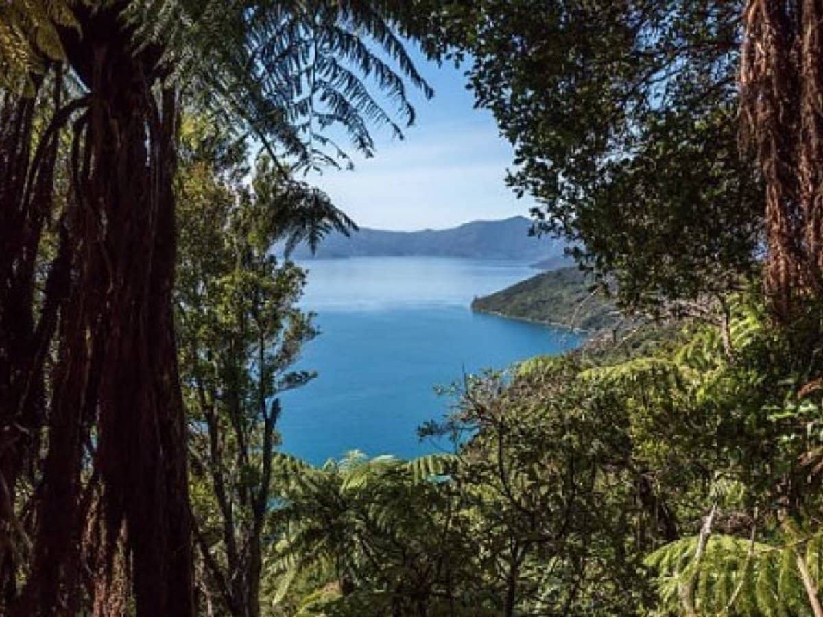 6 Lockhart River Road, Iron Range - Thumbnail 12