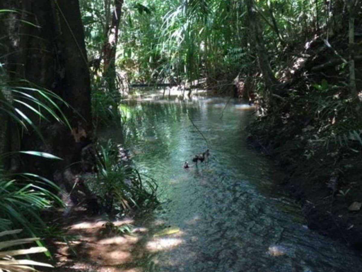 6 Lockhart River Road, Iron Range - Thumbnail 19