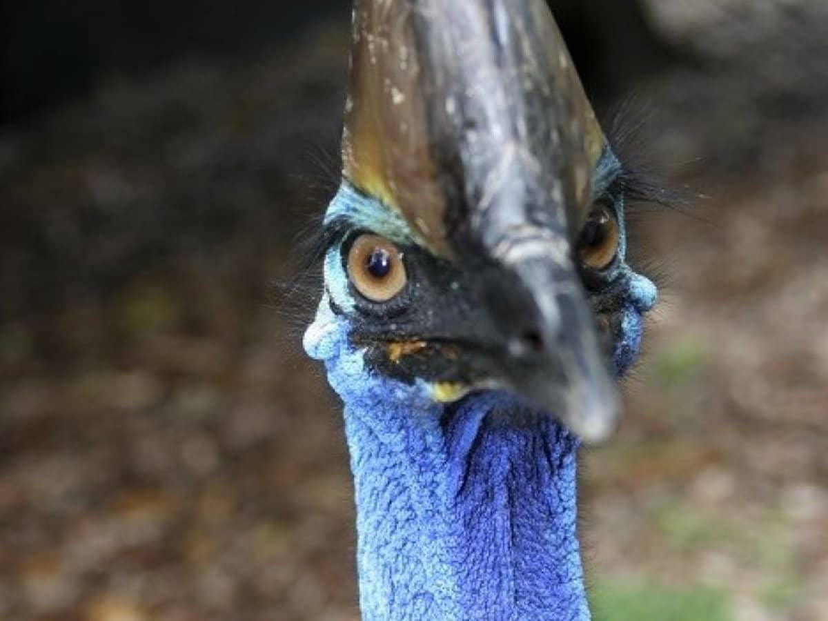 6 Lockhart River Road, Iron Range - Thumbnail 29