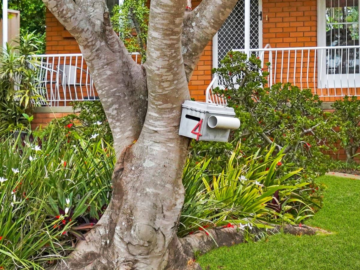 4 Stuart Street, WOODRIDGE - Thumbnail 15