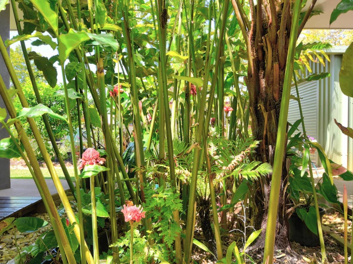 26 Kennedy Highway, Tolga - Thumbnail 10