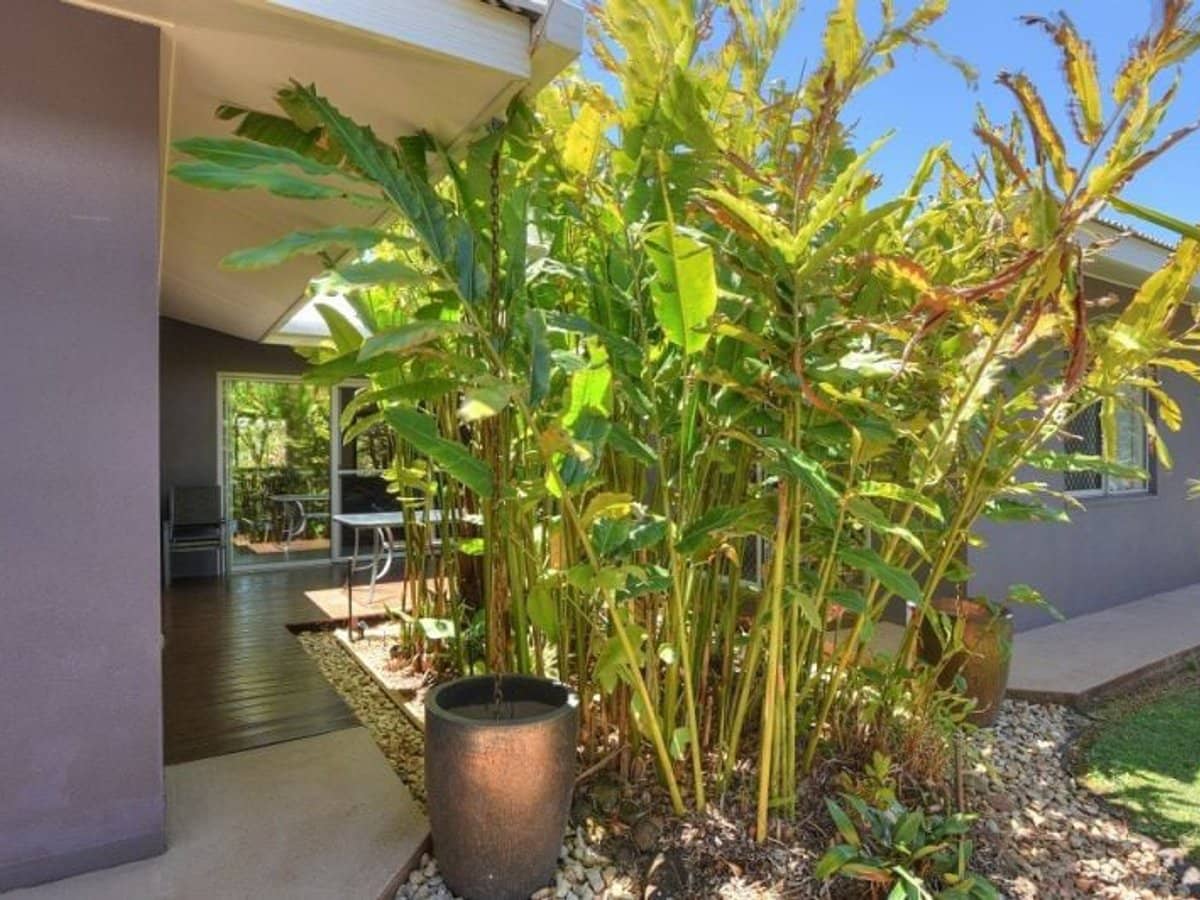 26 Kennedy Highway, Tolga - Thumbnail 24