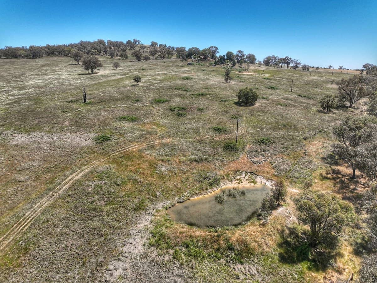 1294 Pine Mount Road, Woodstock - Thumbnail 7