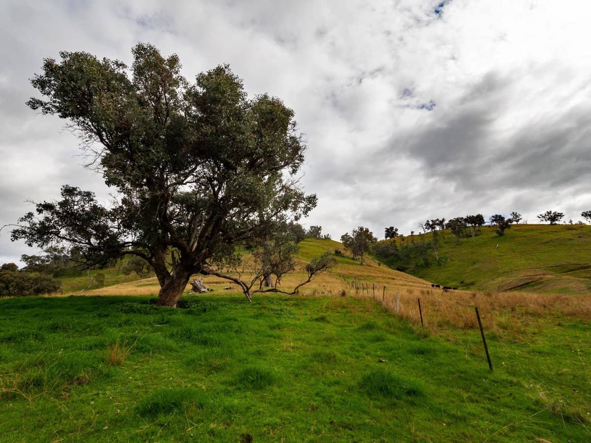 3071 Murray Valley Highway, Ebden - Thumbnail 15