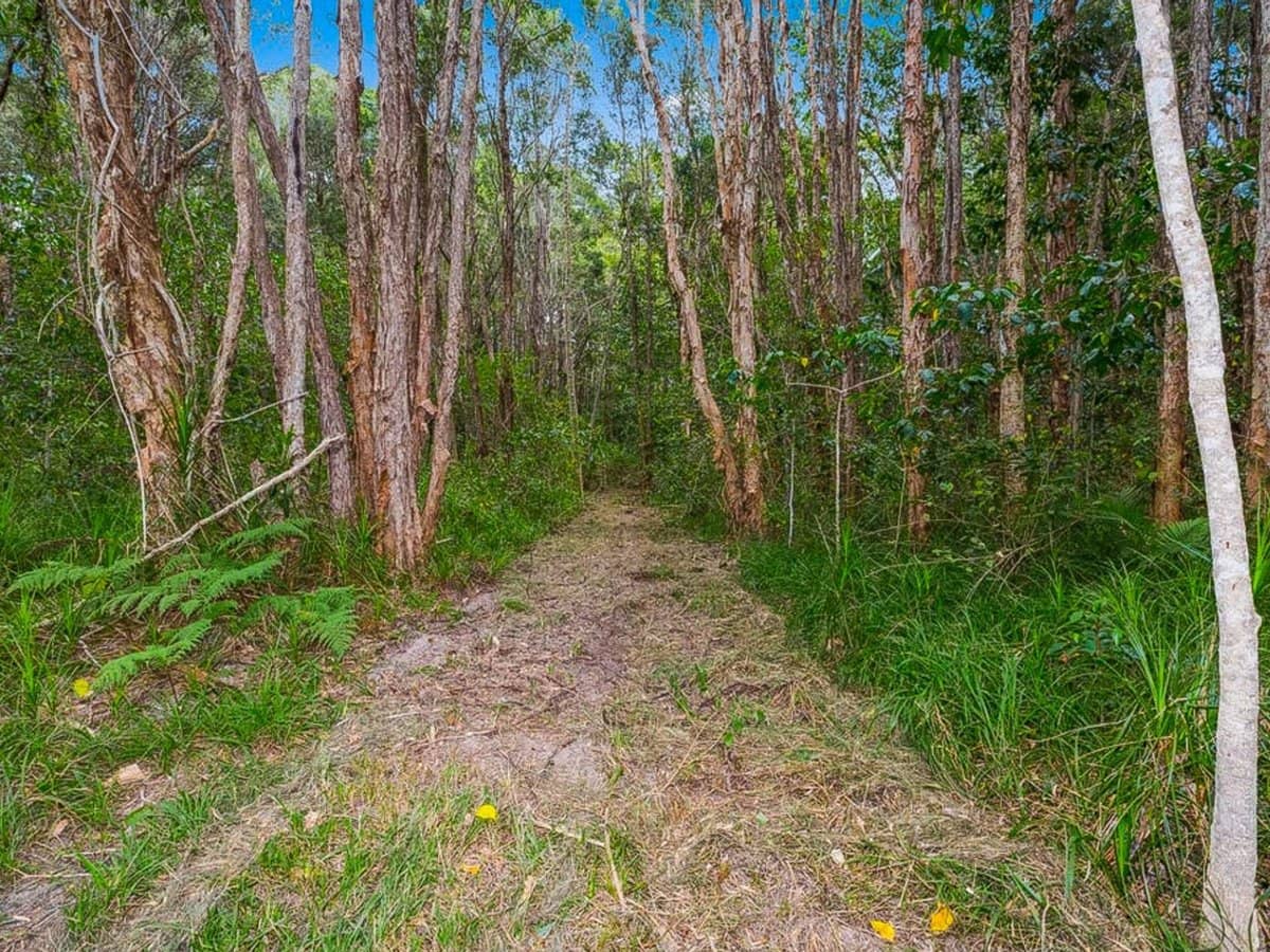 252 Jones Road, Wooyung - Thumbnail 9