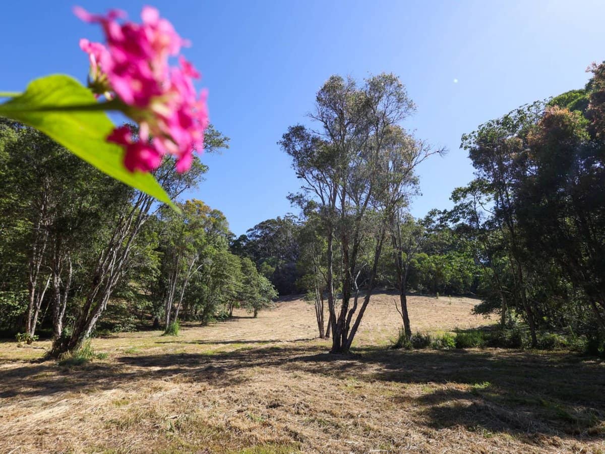 252 Jones Road, Wooyung - Thumbnail 10