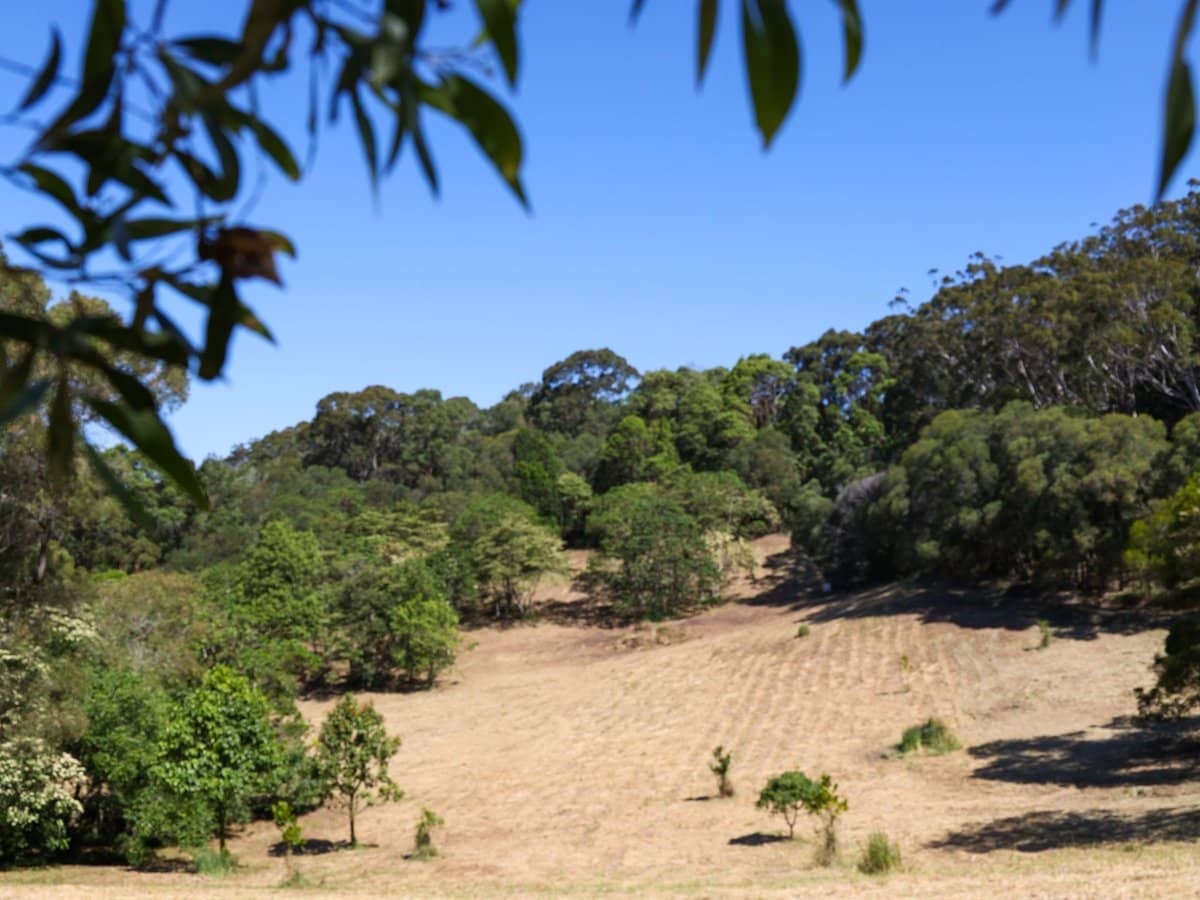 252 Jones Road, Wooyung - Thumbnail 12