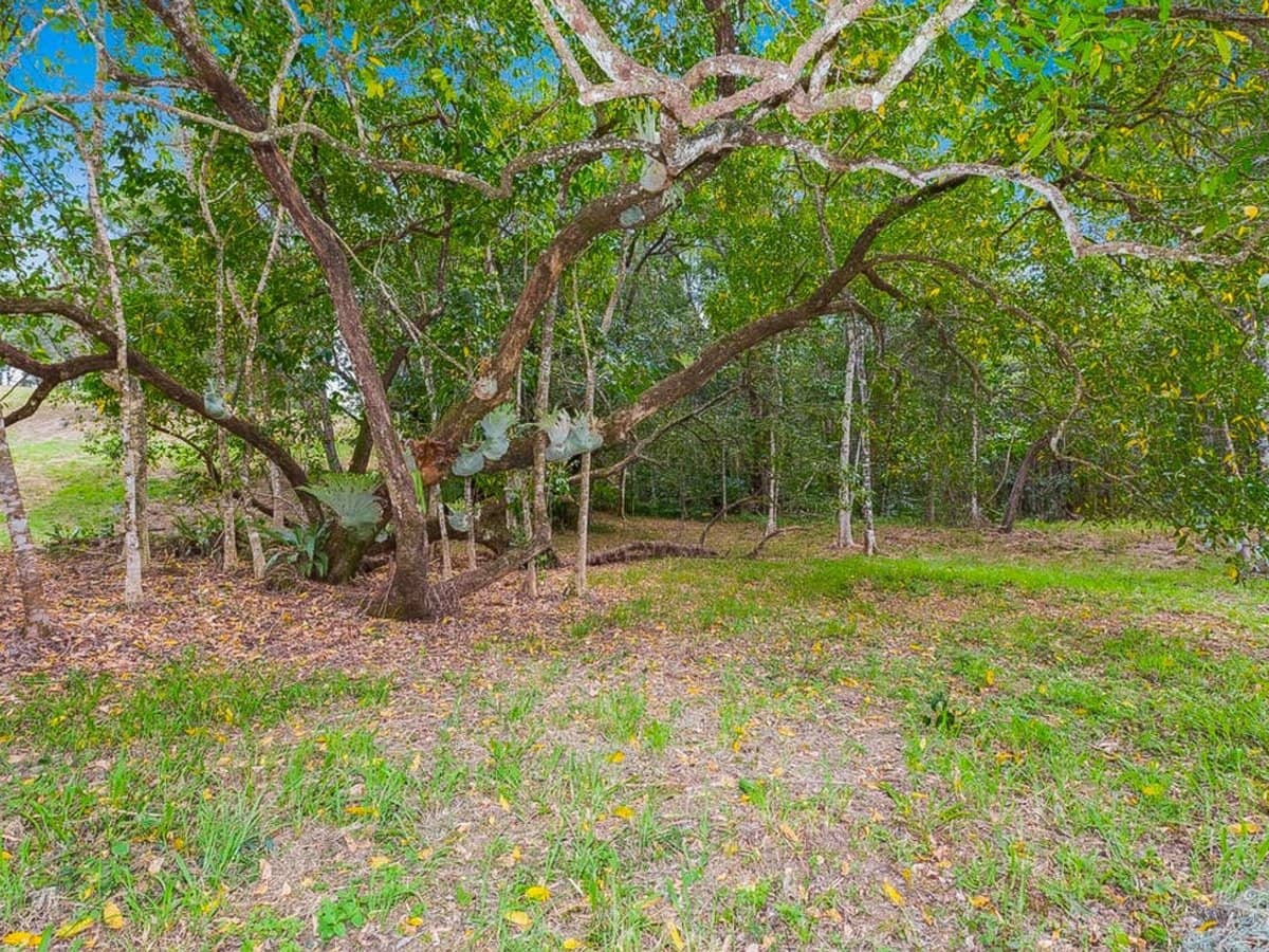 252 Jones Road, Wooyung - Thumbnail 13