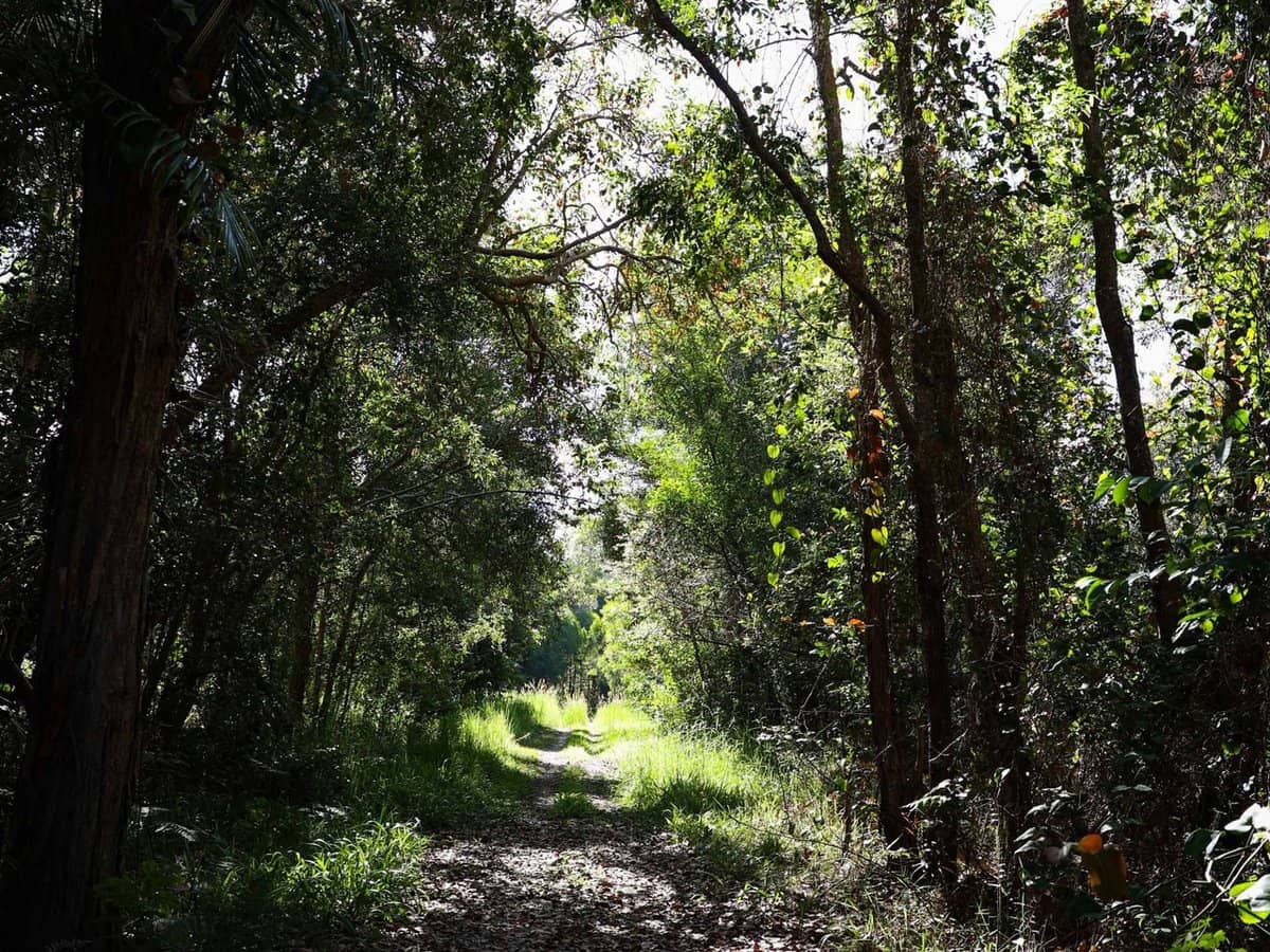 252 Jones Road, Wooyung - Thumbnail 15