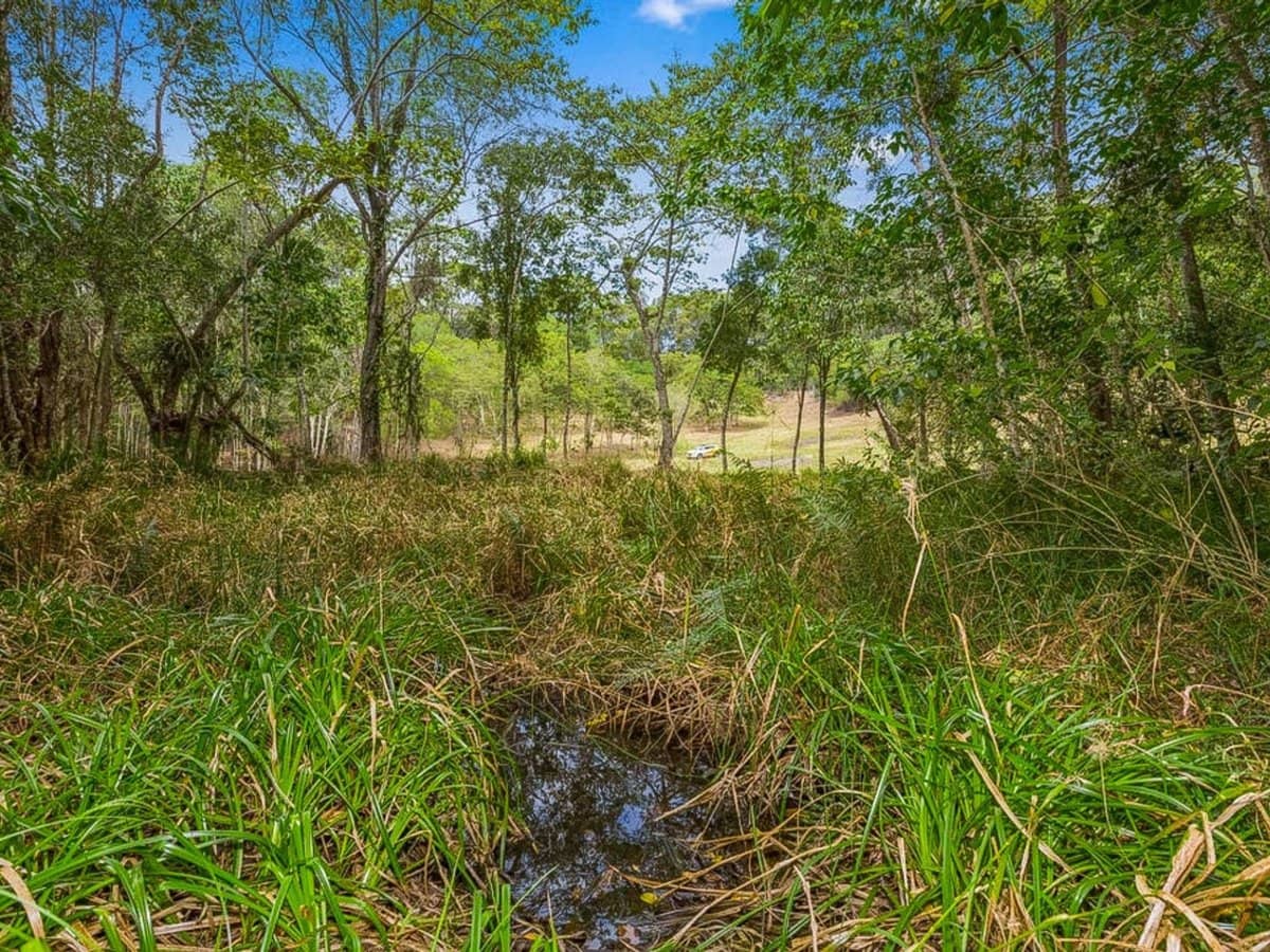 252 Jones Road, Wooyung - Thumbnail 16