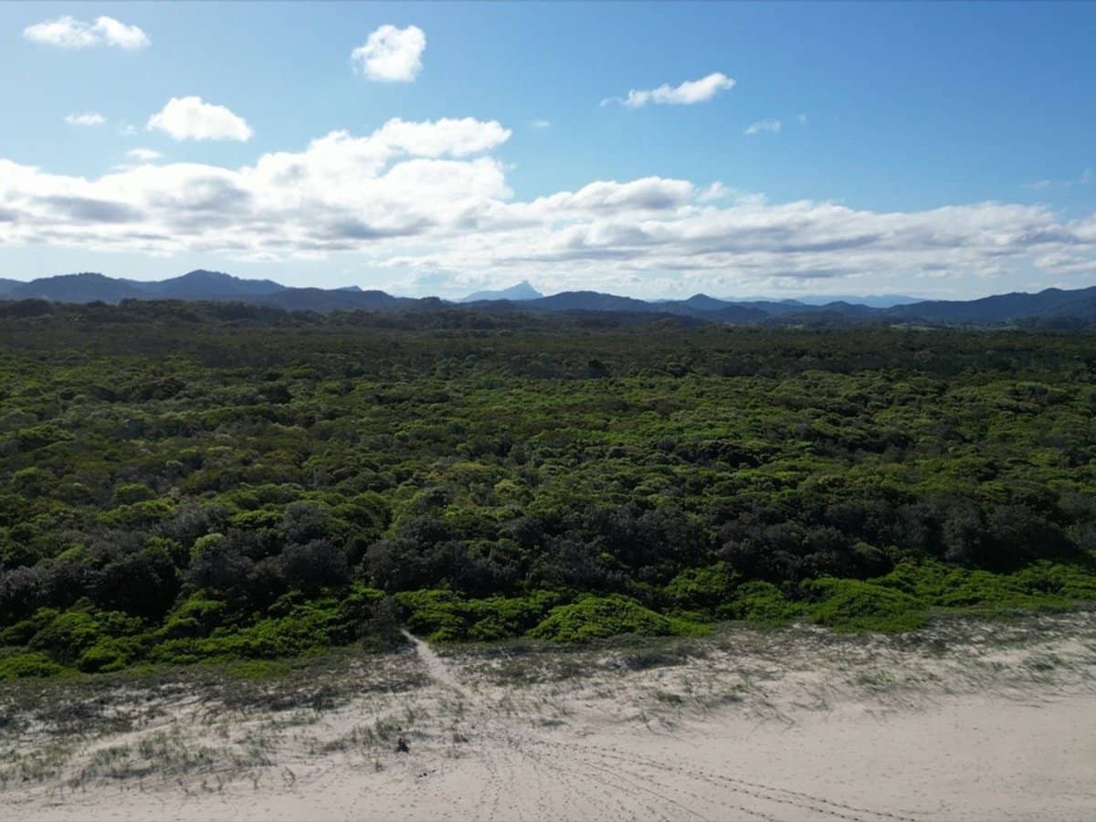 252 Jones Road, Wooyung - Thumbnail 17