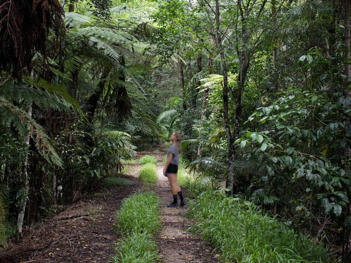 252 Jones Road, Wooyung - Thumbnail 19