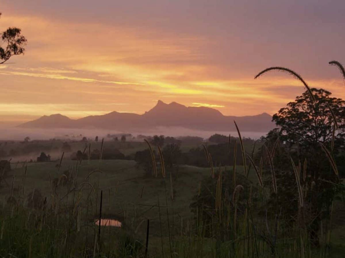 252 Jones Road, Wooyung - Thumbnail 22