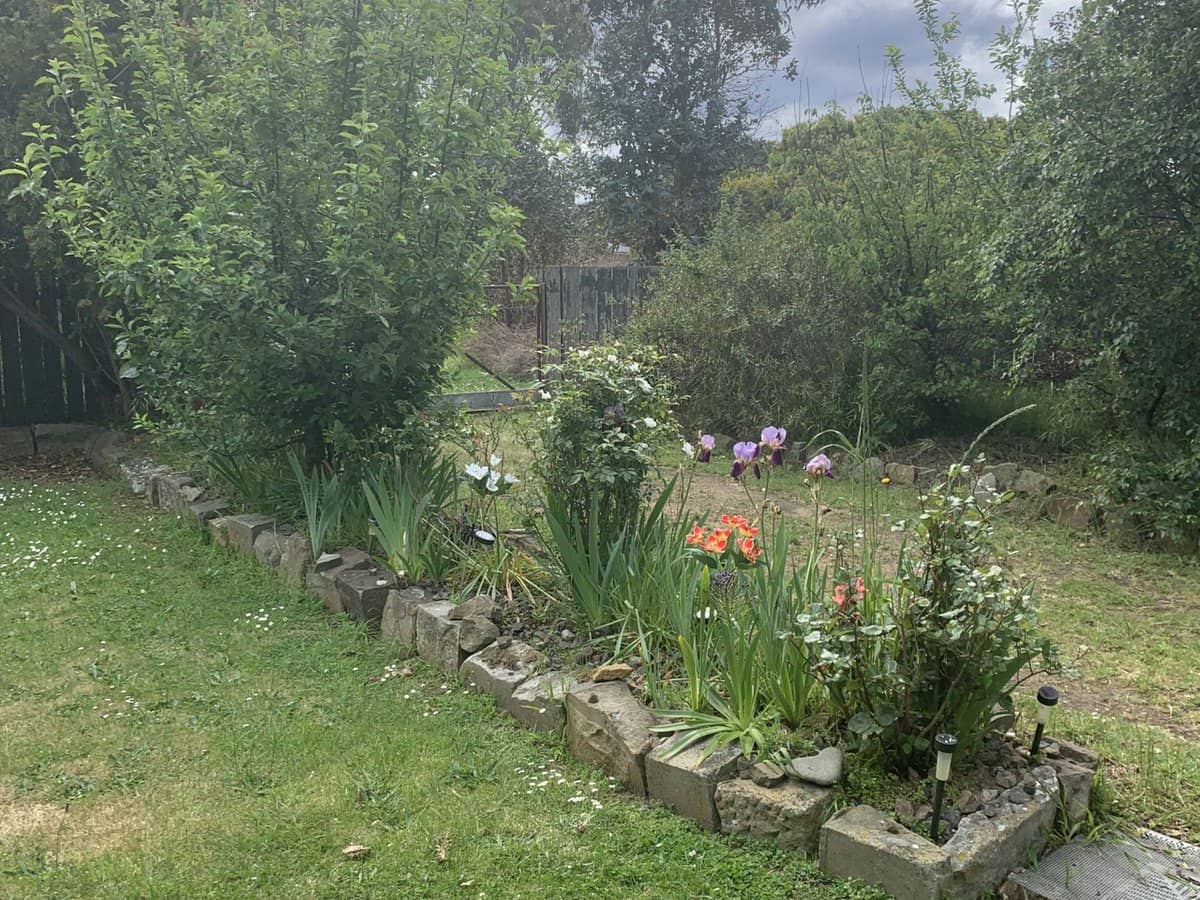 7 Meredith Street, Triabunna - Thumbnail 4