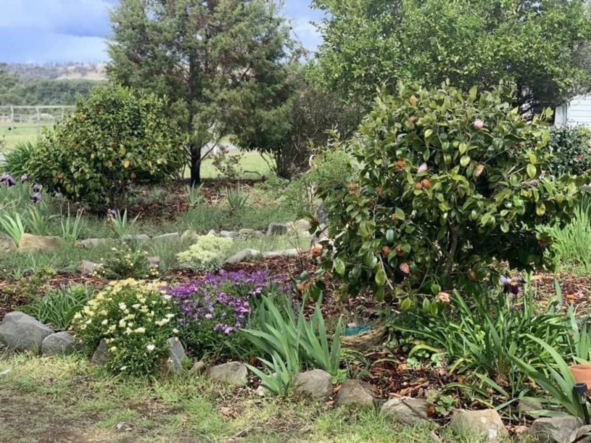 7 Meredith Street, Triabunna - Thumbnail 5