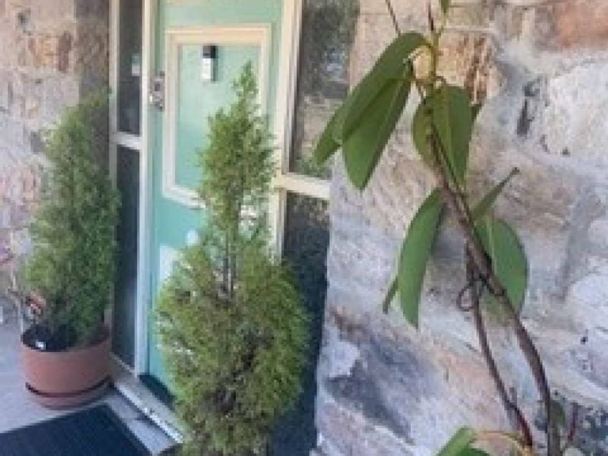 7 Meredith Street, Triabunna - Thumbnail 7