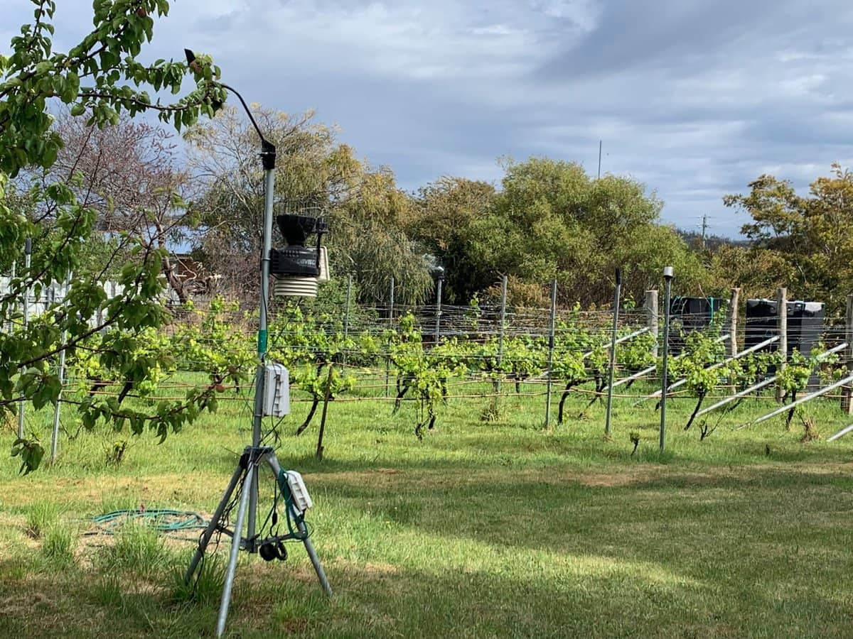 7 Meredith Street, Triabunna - Thumbnail 27