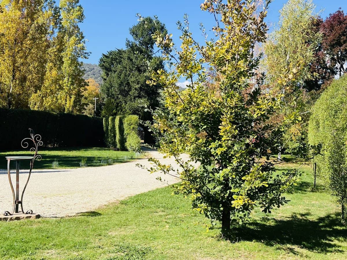 586 Morses Creek Road, Wandiligong - Thumbnail 12